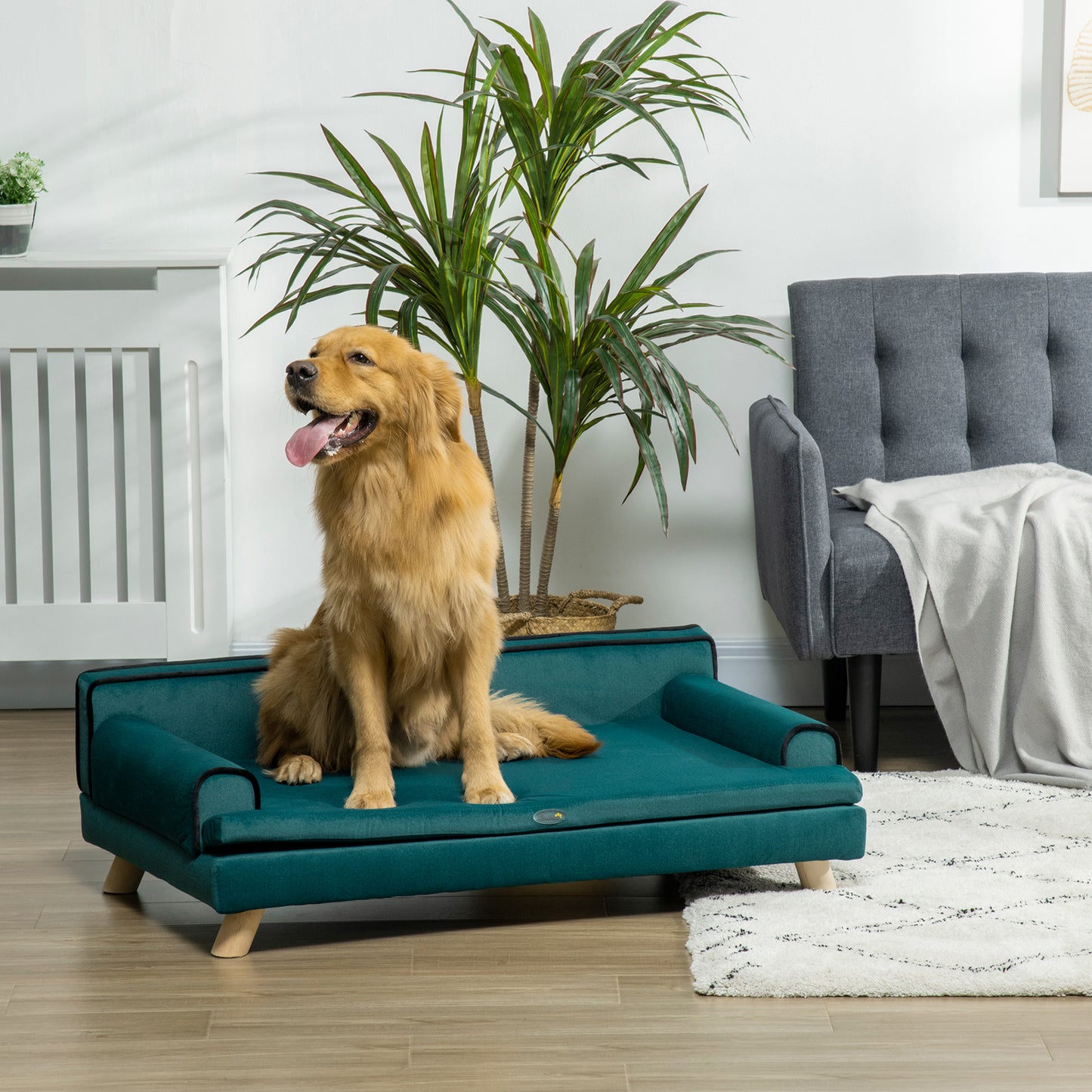 PawHut Sofa for Large Dogs with Padding, Soft and Washable Cover, Wooden Legs, Green