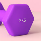 SPORTNOW Set of 2 Dumbbells 2x2 kg Hexagonal and Non-slip for Home and Gym, in Metal and Plastic, 16x7.5x7.5 cm, Purple