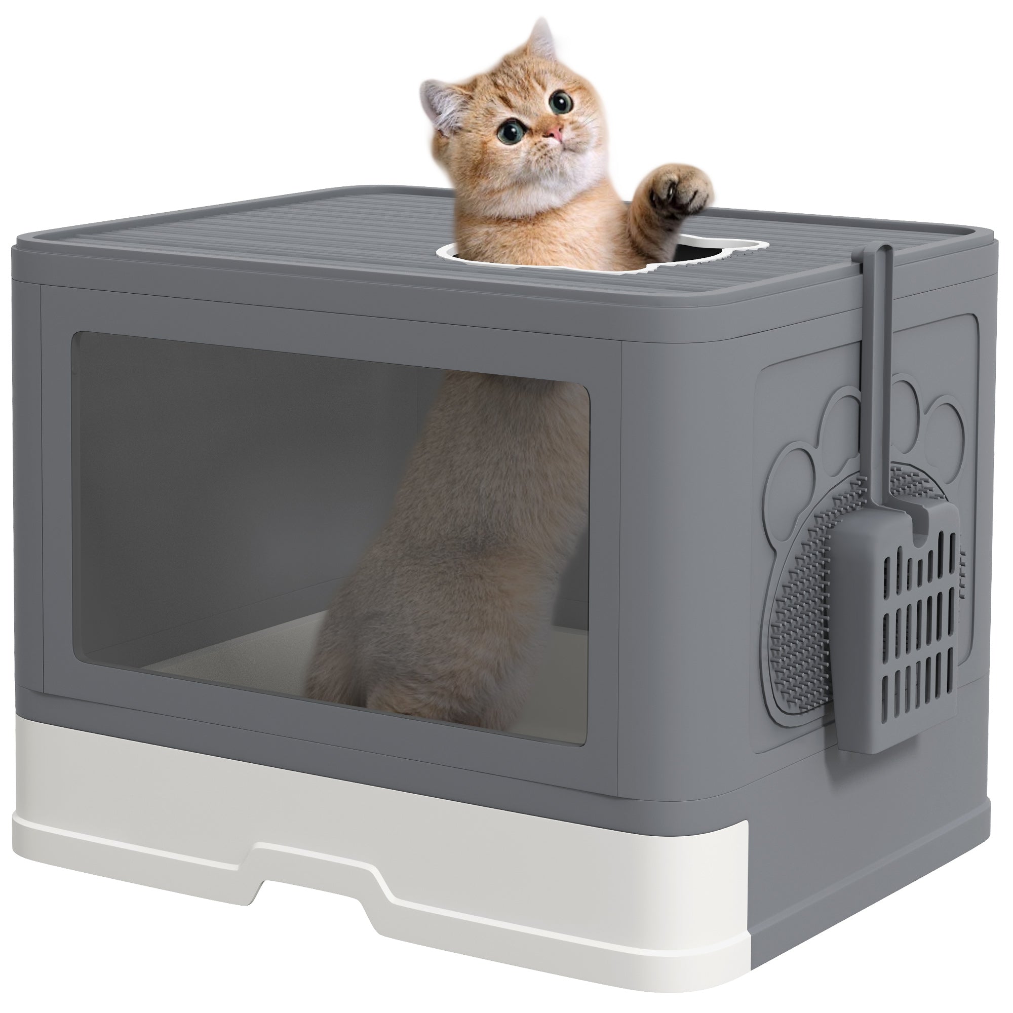 Enclosed Cat Litter Box with Lid and Double Entry, Removable Tray, Scoop and Brush, Grey