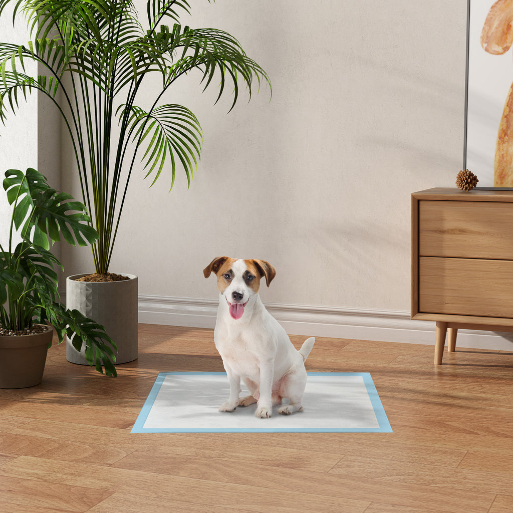 Set of 100 6-Layer Non-Woven, Paper, and PE Dog Toilet Pads, 45x60 cm, Blue and White