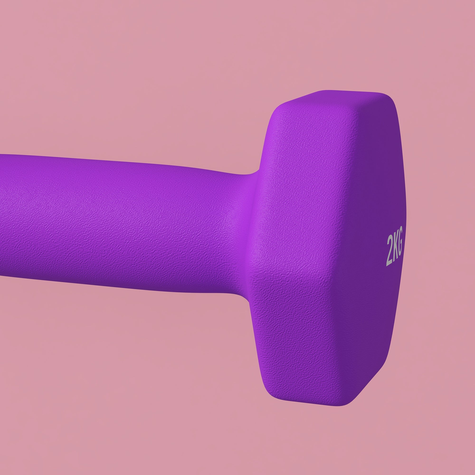 SPORTNOW Set of 2 Dumbbells 2x2 kg Hexagonal and Non-slip for Home and Gym, in Metal and Plastic, 16x7.5x7.5 cm, Purple