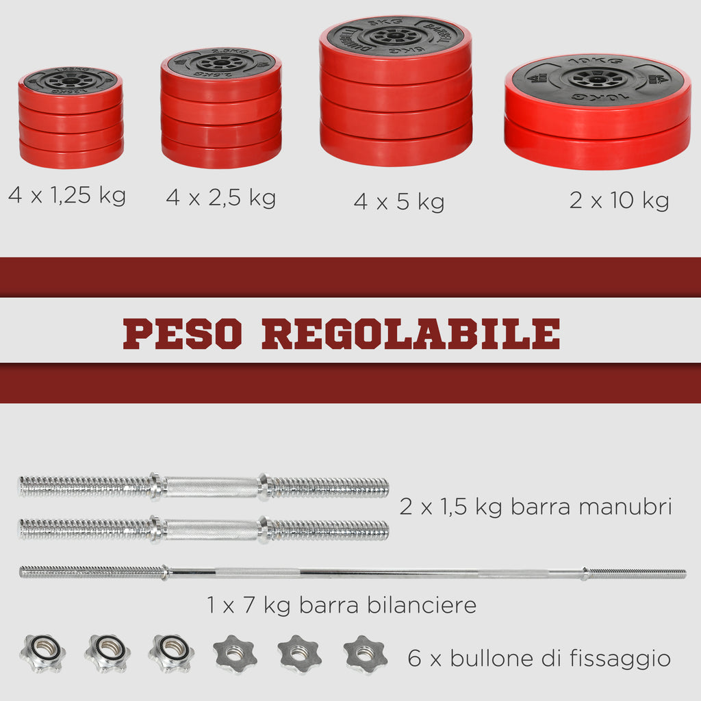 Barbell and Plates Set 65kg total for Home Workout, in Metal, Iron Sand and Rubber, Red