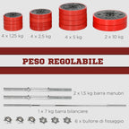 Barbell and Plates Set 65kg total for Home Workout, in Metal, Iron Sand and Rubber, Red