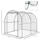 Outsunny Garden Tunnel Greenhouse, Balcony Greenhouse for Plants and Vegetables with PVC Cover, Roller Door and Steel Frame, 2x2.5x2m