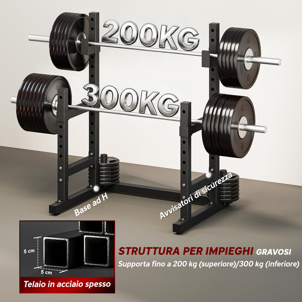 2-Tier Adjustable Barbell Rack with Disc Holder, Steel, 110x91x145 cm, Black