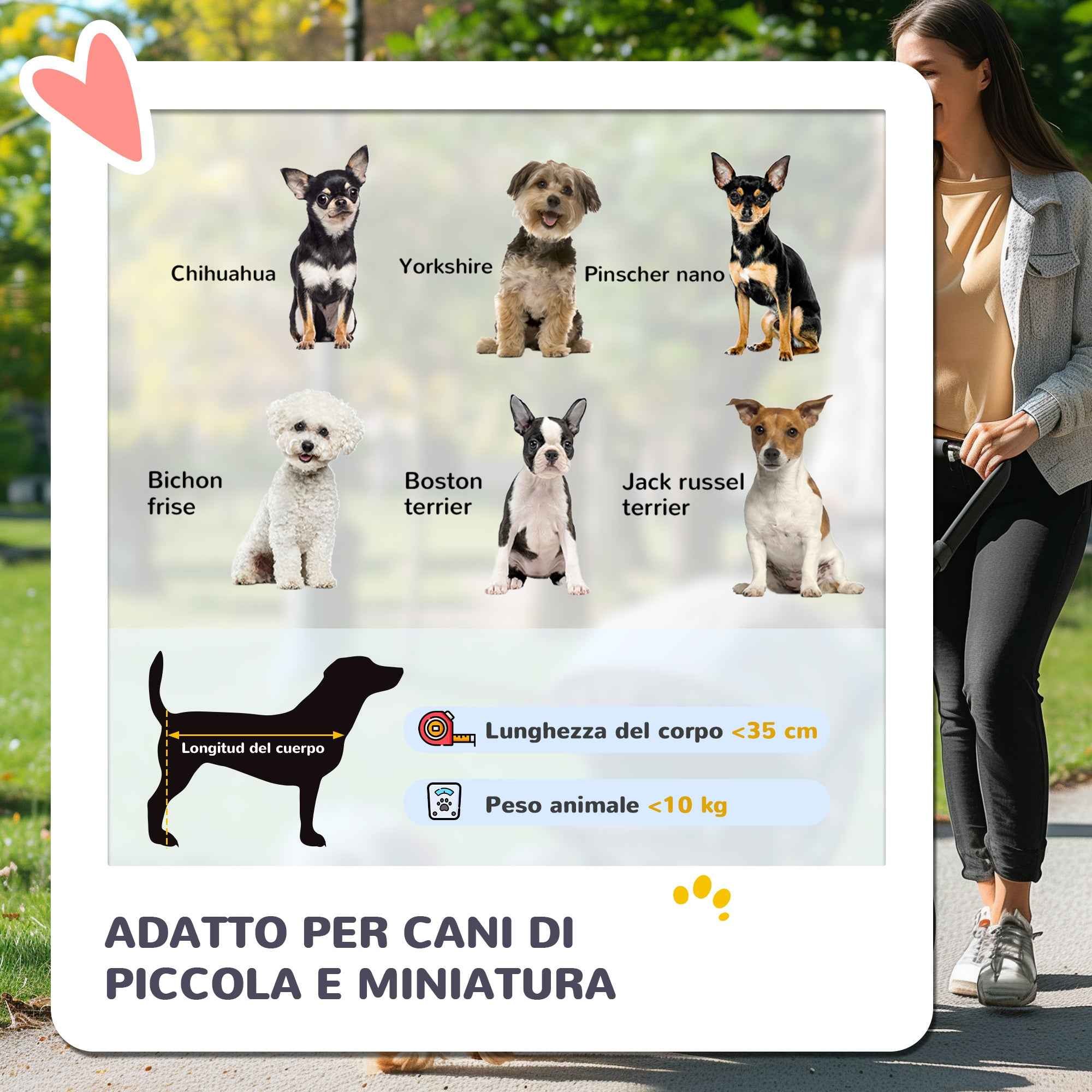 PawHut 2-in-1 Foldable Dog Stroller, Convertible to a Carrier with 2 Leashes and Cushion, Pink