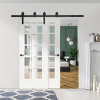 Homcom Sliding Stainless Sliding Door Kit with track, rollers, stops, guides, bolts and screws, 200x0.6x4 cm, black - Borgè