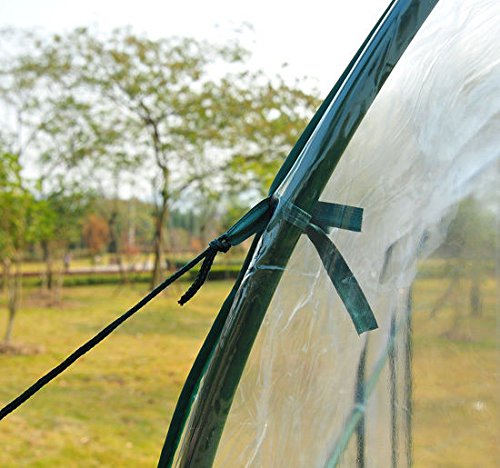 Outsunny Garden Tunnel Greenhouse, Balcony Greenhouse for Plants and Vegetables with PVC Cover, Roller Door and Steel Frame, 2x2.5x2m