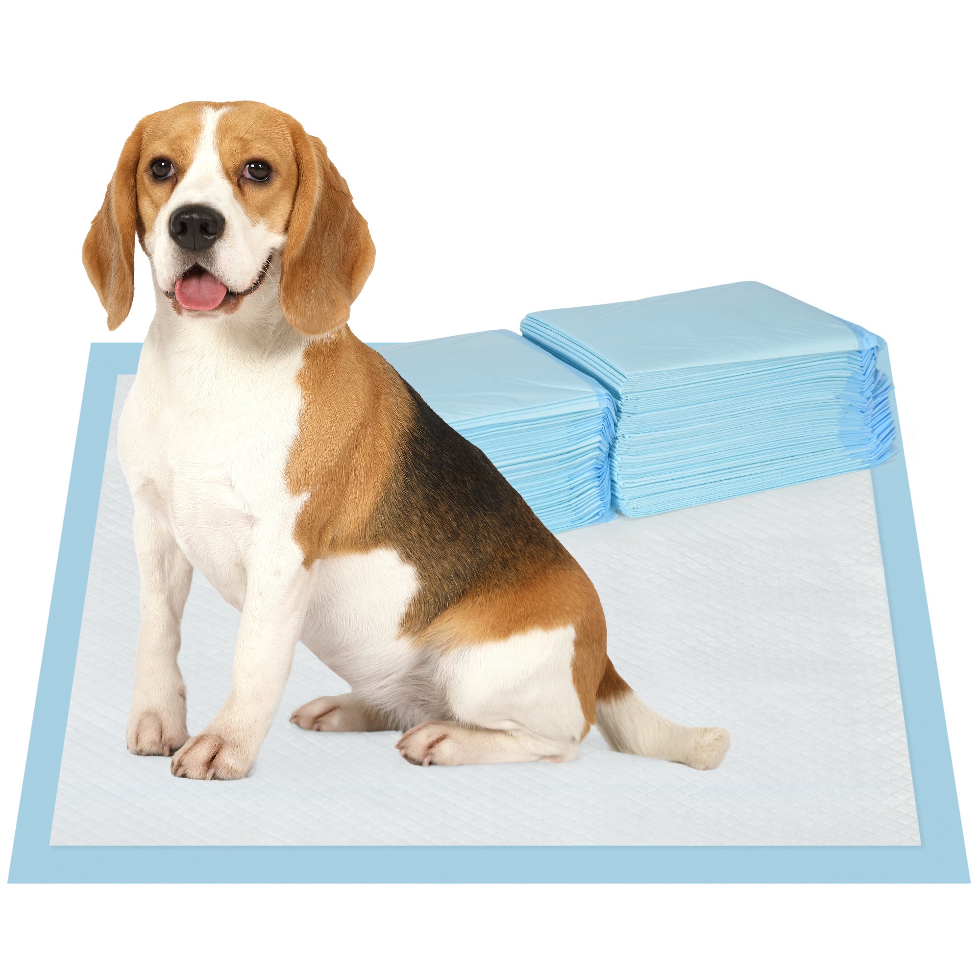 Set of 80 6-Layer Non-Woven, Paper, and PE Dog Toilet Pads, 60x60 cm, Blue and White