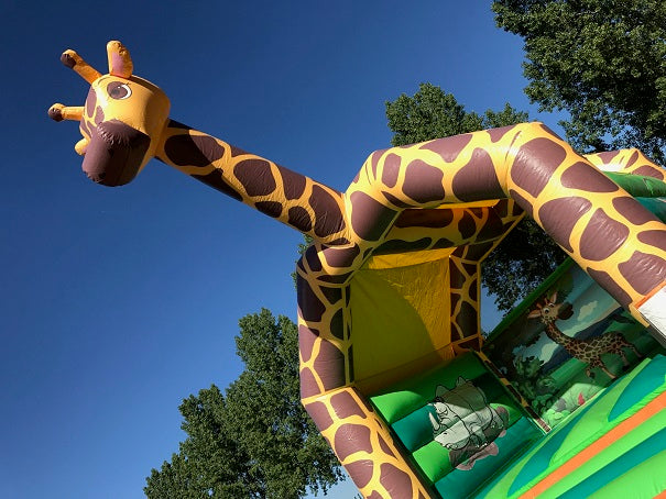 Giraffe with roof - Borgè