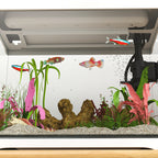 Goldfish Aquarium 17L with LED Lights, Water Pump and Filter System, 35x21x31 cm, White