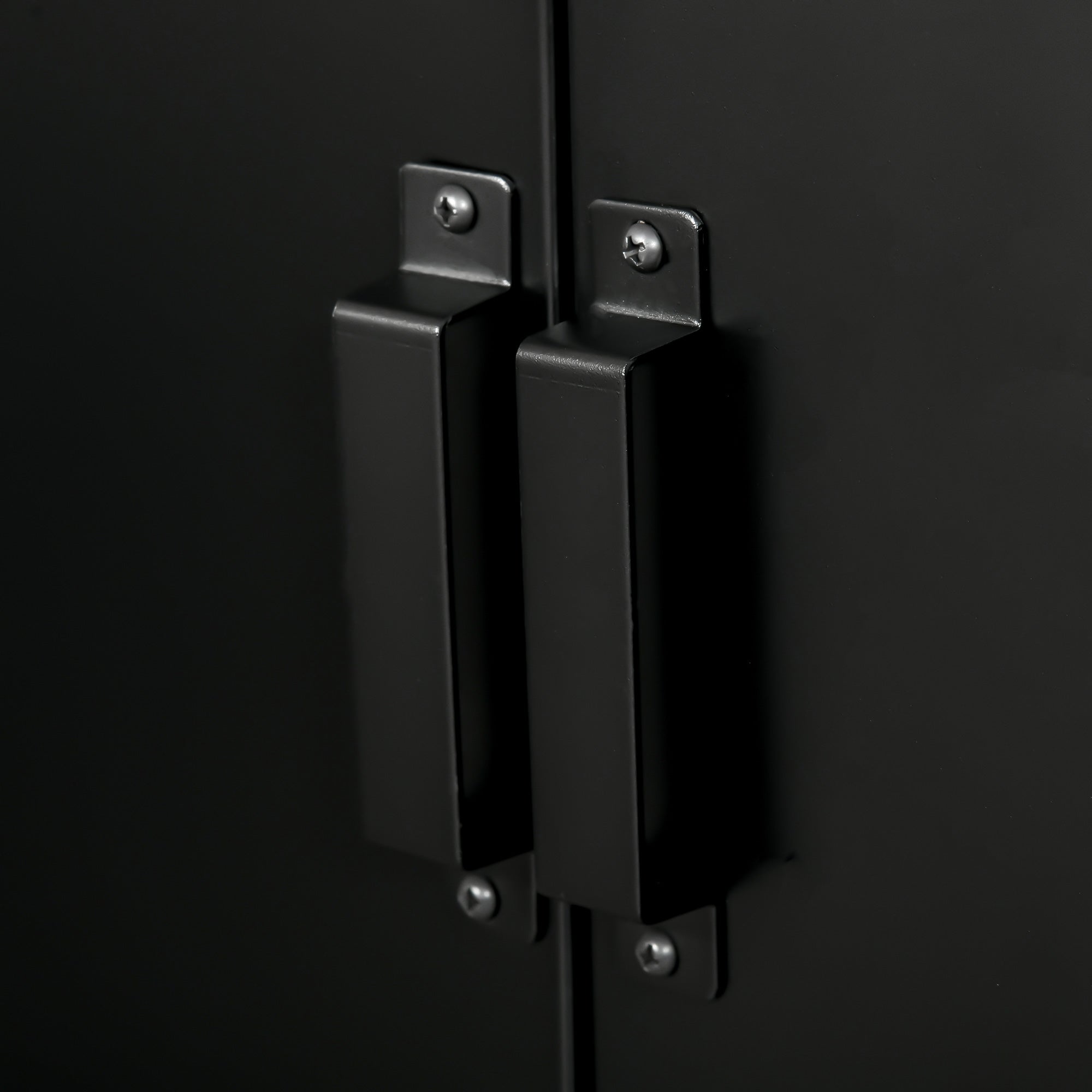 Industrial Style 2-Door Metal Storage Cabinet for Home and Garage, 75x33x110 cm, Black