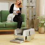 Cat Litter Box with Step, Scoop and Storage Box, in Stainless Steel and ABS, 60.2x40.6x29 cm, Light Grey