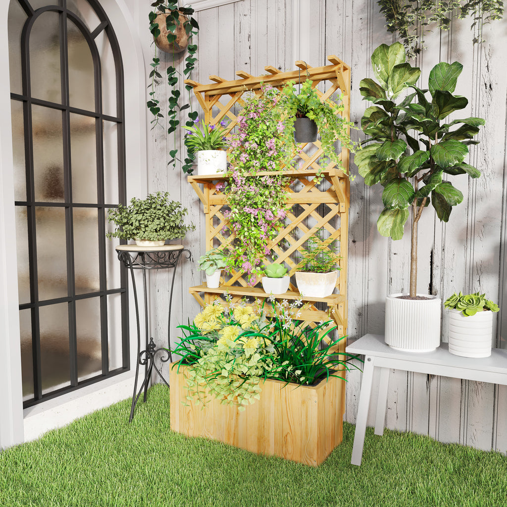 Planter with Trellis for Climbing Plants, Drainage Holes and 2 Shelves, in Fir Wood, 76x33x177 cm