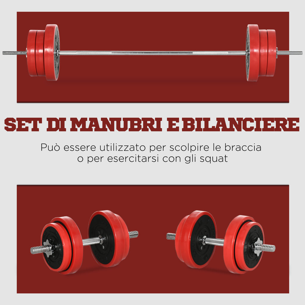 Barbell and Plates Set 65kg total for Home Workout, in Metal, Iron Sand and Rubber, Red
