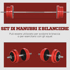 Barbell and Plates Set 65kg total for Home Workout, in Metal, Iron Sand and Rubber, Red