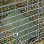 Foldable Steel Trap Cage for Live Animals, 81x26x34.5cm, Silver