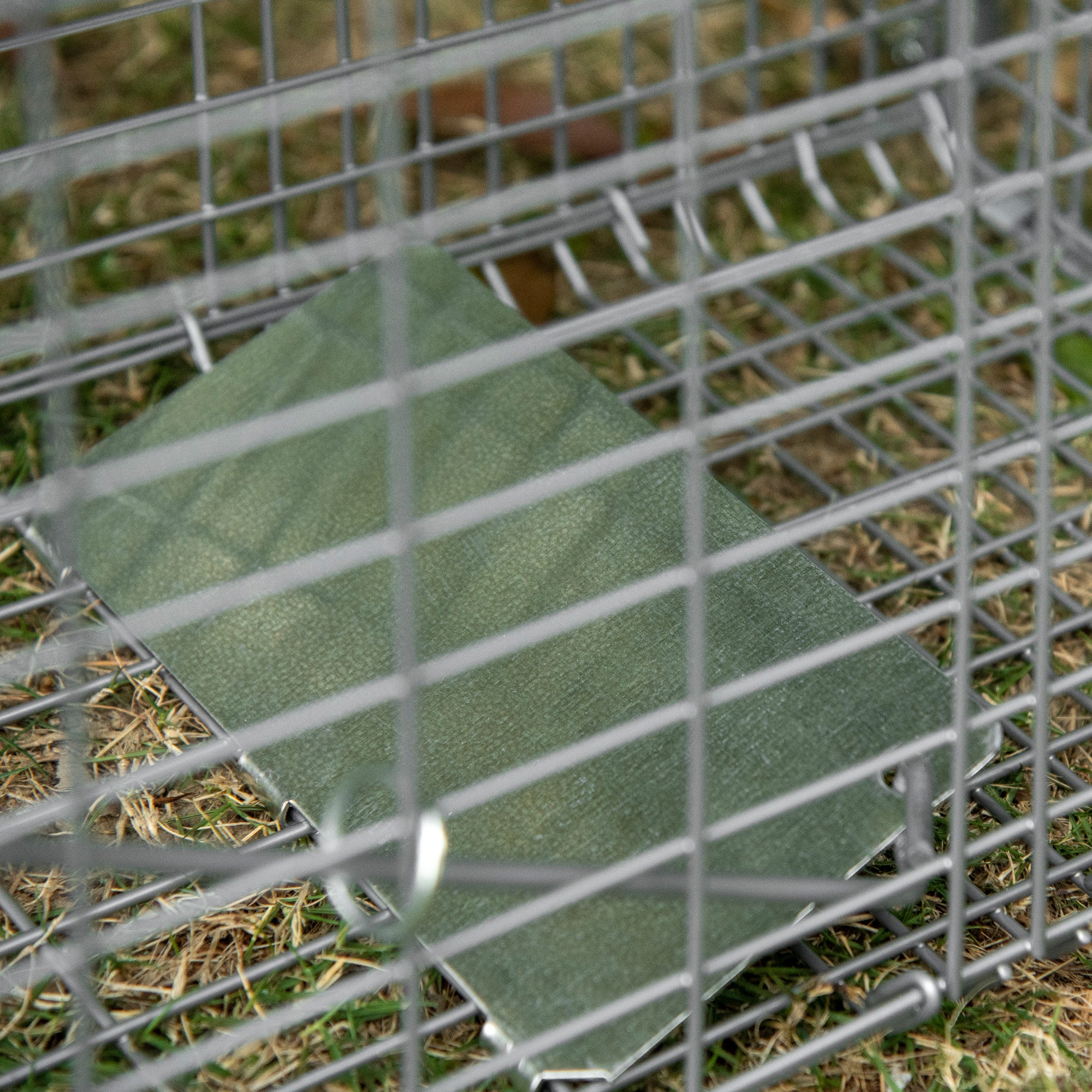 Foldable Steel Trap Cage for Live Animals, 81x26x34.5cm, Silver