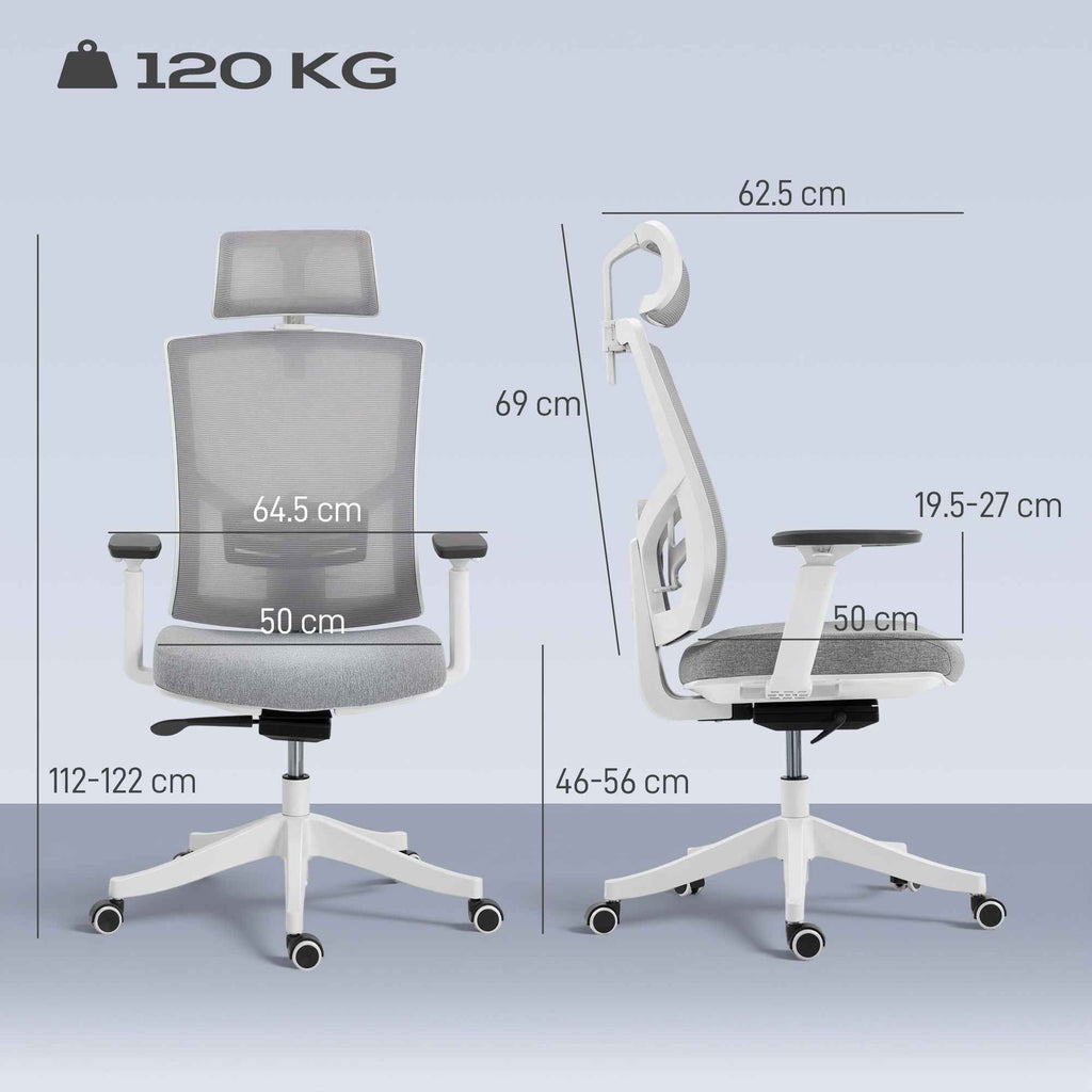 HOMCOM Ergonomic and Breathable Office Chair with 4D Dynamic Lumbar Support, 64.5x62.5x112-122 cm, Multicolor