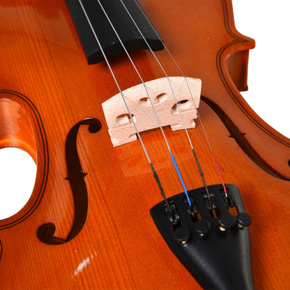 4/4 Violin for Adults with Accessories Included (Case, Bow, Strings, Bridge, Tuner) 58.5 x 21.5 x 7cm