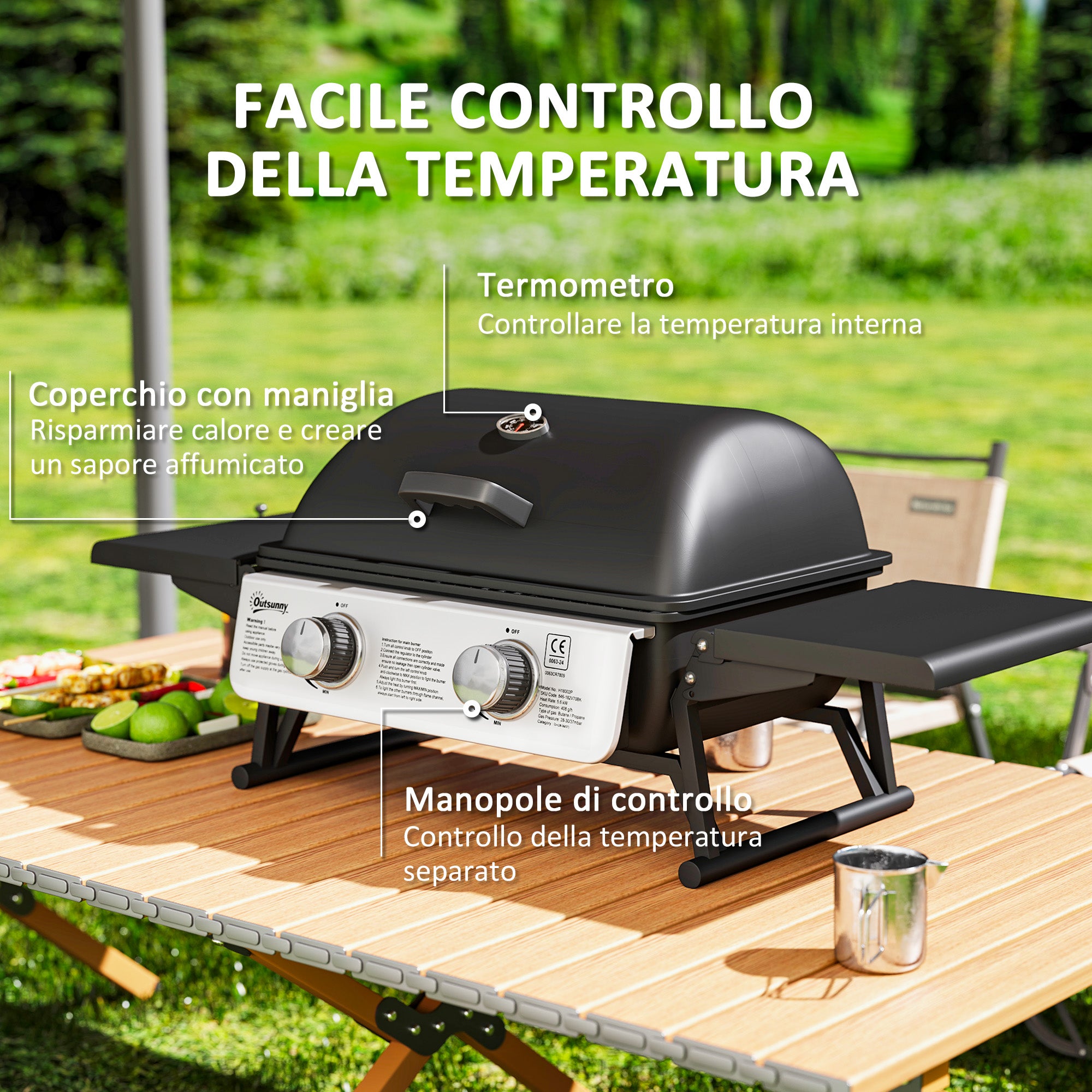 Portable Gas Grill with 2 Burners and Lid with Thermometer, Black