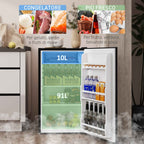 HOMCOM 91L Reversible Single-Door Small Refrigerator with Freezer and Adjustable Temperature, Black