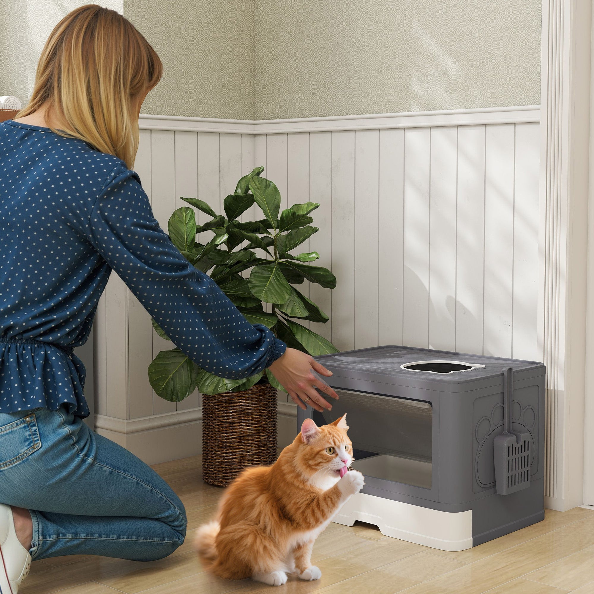 Enclosed Cat Litter Box with Lid and Double Entry, Removable Tray, Scoop and Brush, Grey
