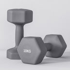 SPORTNOW Set of 2 Hexagonal Dumbbells weighing 2x10 kg in Metal and Plastic with Non-Slip Grip, 26x12x12 cm, Gray