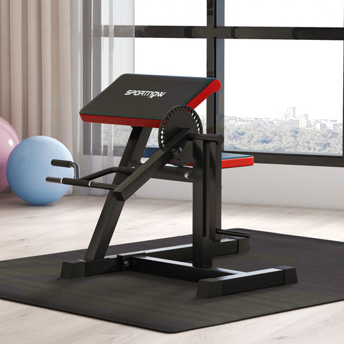 2-in-1 Roman Bench for Curls and Triceps with 5-Level Seat and 25 Adjustments, Black