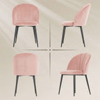 Set of 2 Velvet Shell-Back Dining Chairs, 52 x 55 x 79 cm, Pink