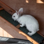 2-Tier Wooden Rabbit Hutch with Wheels, Pull-Out Tray and Ramp, 122x50x101cm - Borge' Group Limited
