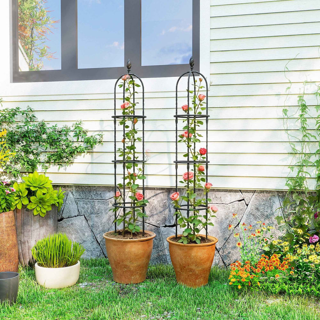 Outsunny 2-Piece 1.7m Tall Rustproof Steel Climbing Plant Supports with Decorative Trim, Black