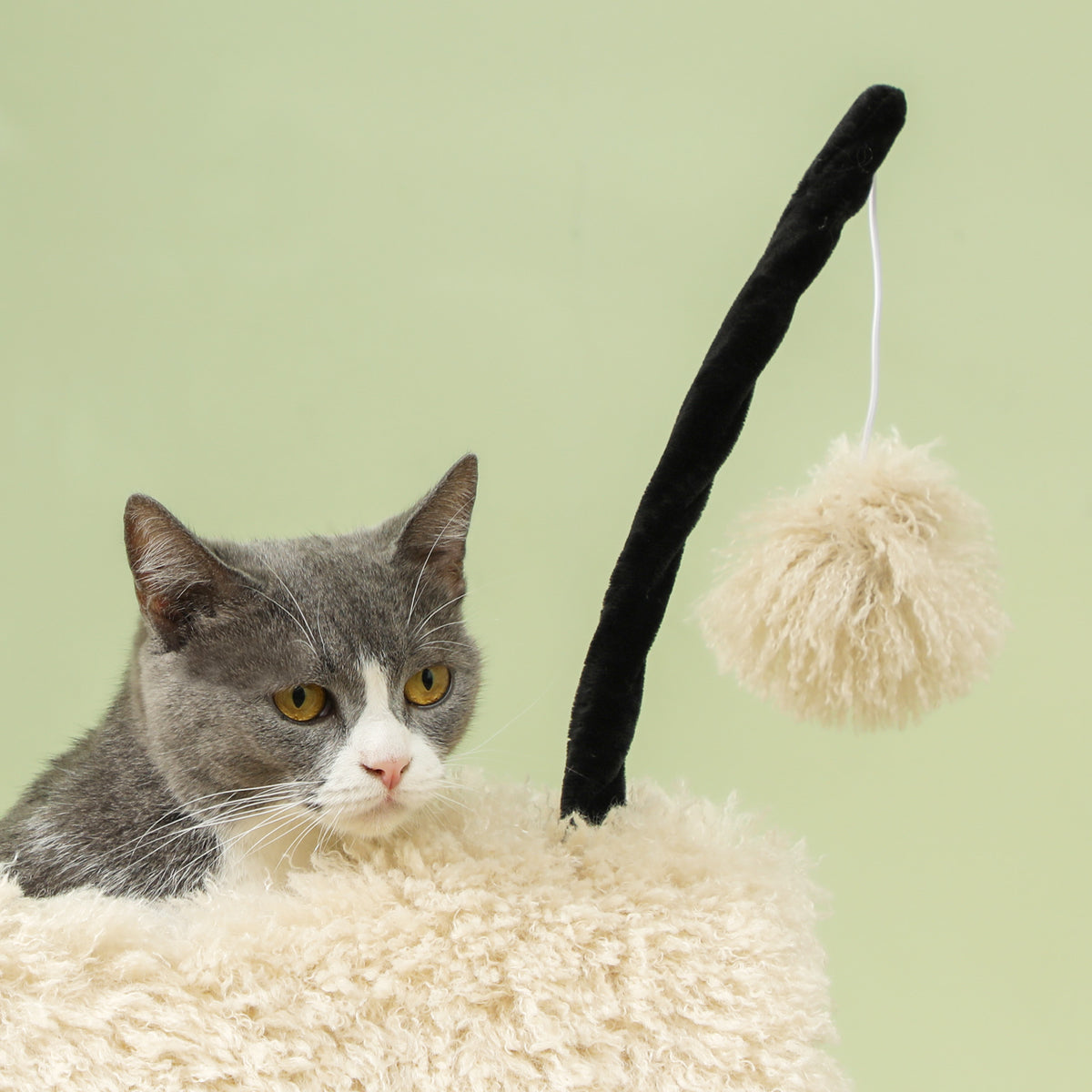 PawHut Sheep Cat Tree with Black Nose, Jute Posts, Tunnel and Ball, Light Brown