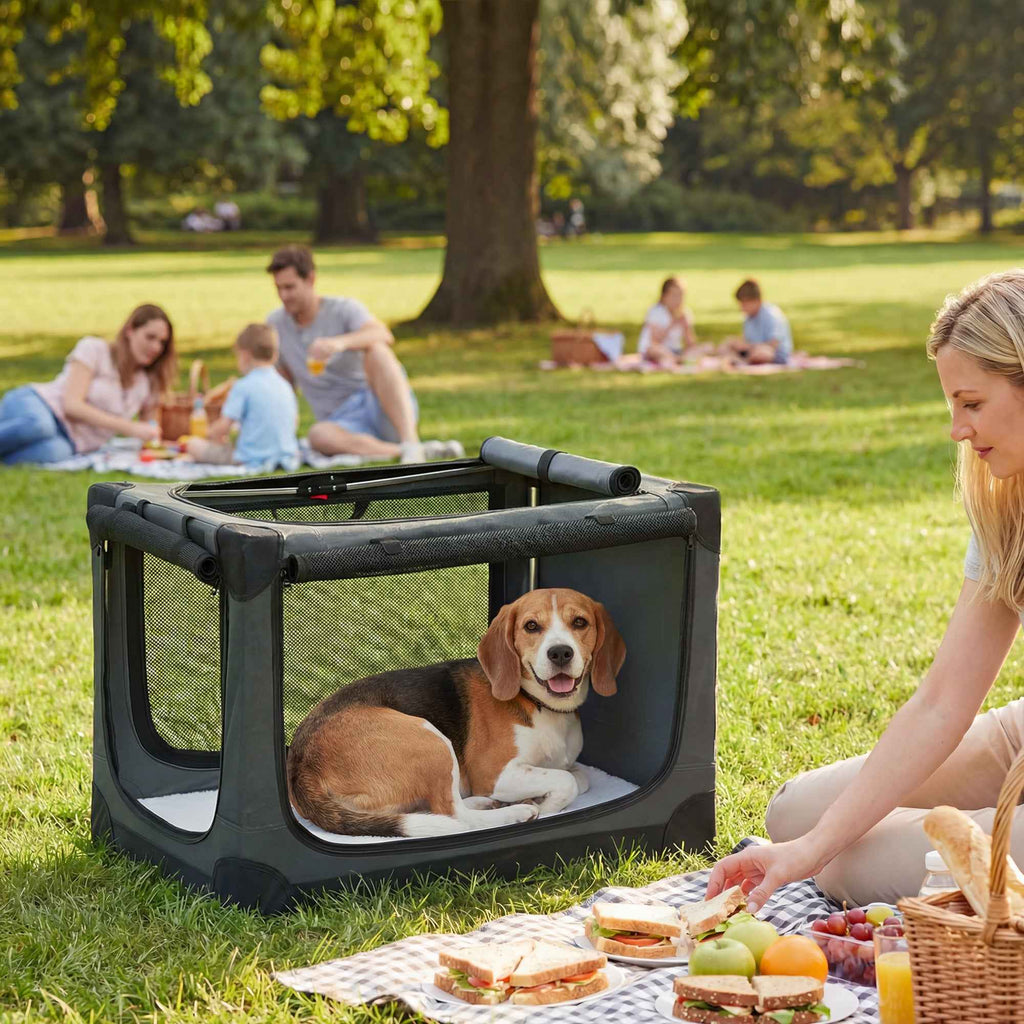 PawHut Soft Foldable Dog and Cat Carrier with Cushion, Washable Cover, Doors, Breathable 600D Oxford, 76x54x54 cm, Green
