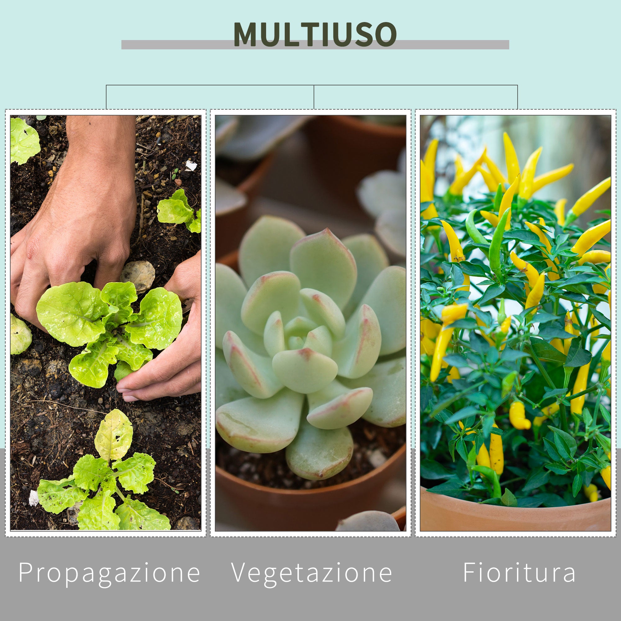 600D Oxford Hydroponic Tent with 5 Adjustable Vents and Window, Hydroponic Growing Greenhouse with Cable Hole for Indoor, 80x80x160cm, Black