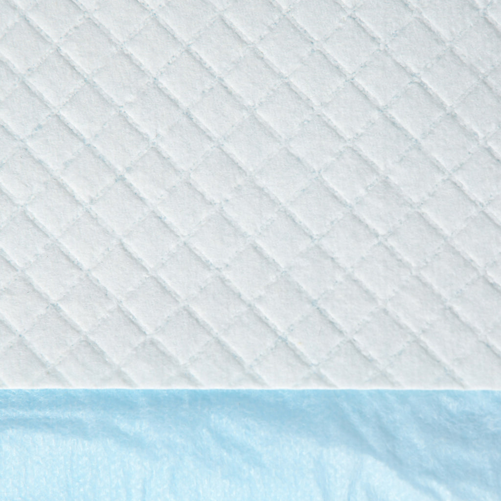 Set of 100 6-Layer Non-Woven, Paper, and PE Dog Toilet Pads, 45x30 cm, Blue and White