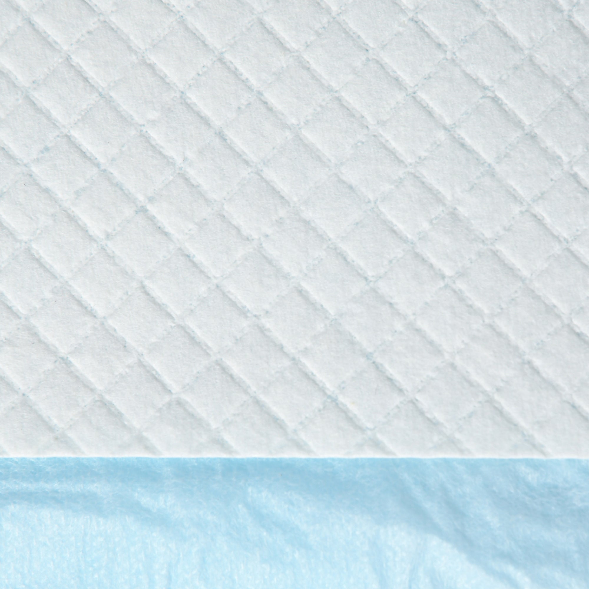 Set of 100 6-Layer Non-Woven, Paper, and PE Dog Toilet Pads, 45x30 cm, Blue and White