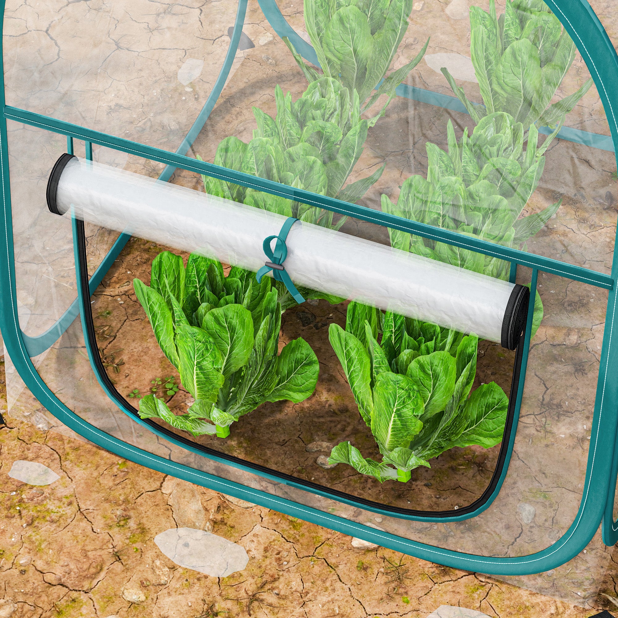 Mini Pop Up Greenhouse with Plastic Cover, Roller Window and Bag, 70x70x80 cm, Transparent