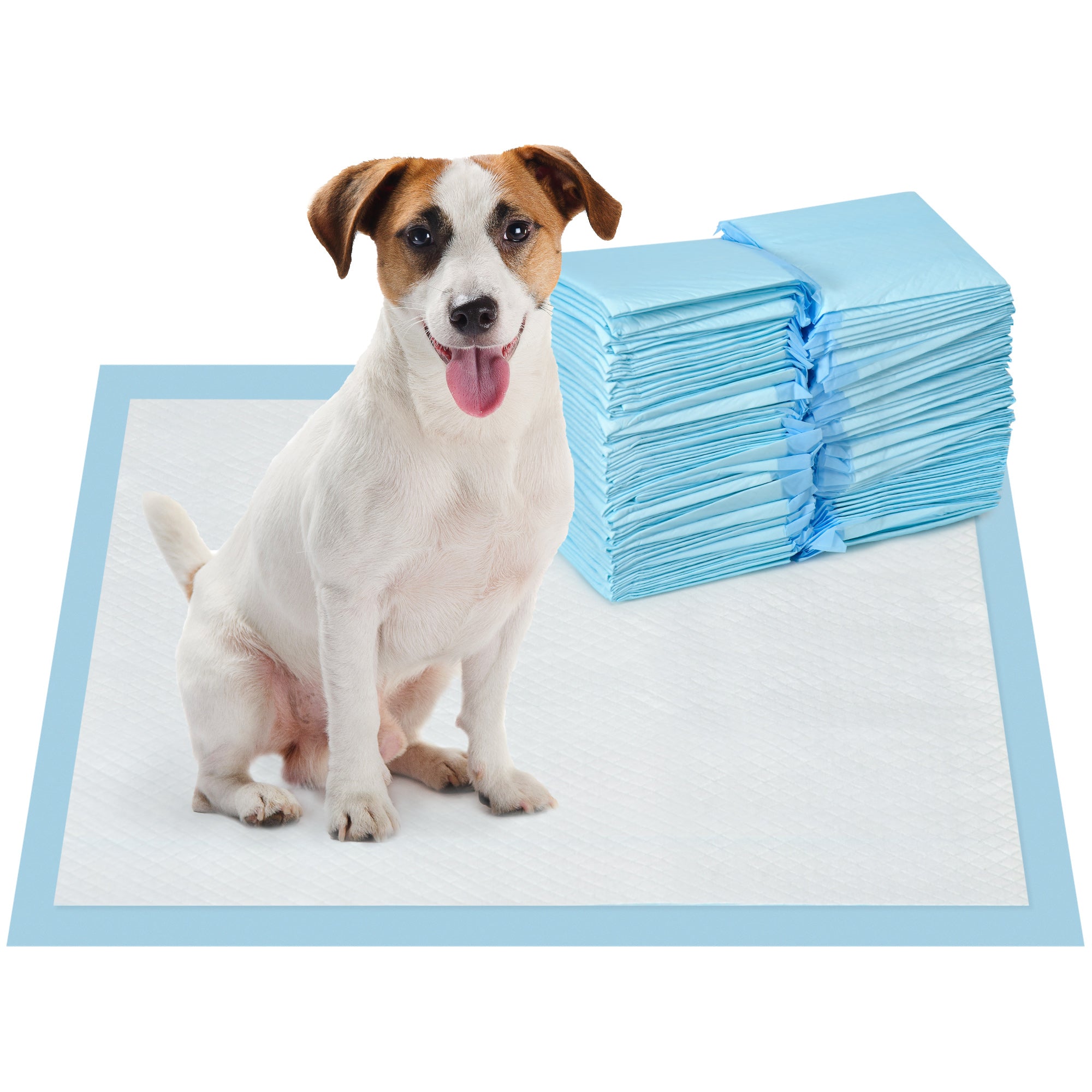 Set of 100 6-Layer Non-Woven, Paper, and PE Dog Toilet Pads, 45x60 cm, Blue and White