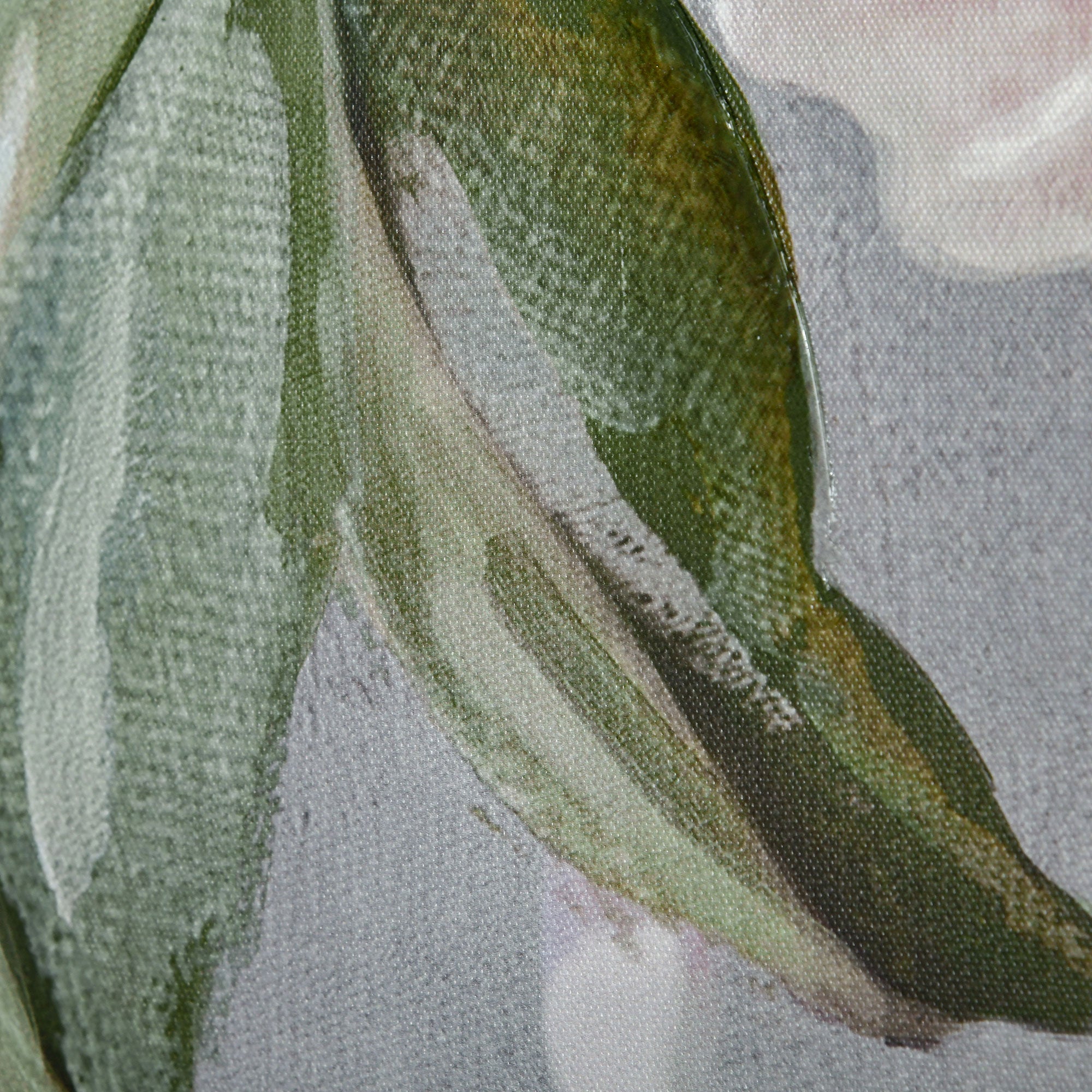 Peony Canvas Print, 5 Pieces for Home and Office, Pine Wood Canvas and Water-Based Paint, 200x100cm, Multicolor