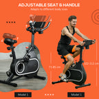 SportNow magnetic bike with 4kg flywheel, adjustable handlebar and saddle, 8 resistance levels - Borgè