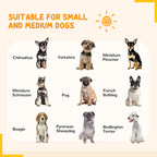 PAWHUT FENCE FOR 6 DOGS with 6 modular and outdoor modular panels, in steel, 164x83x80 cm, black - Borgè