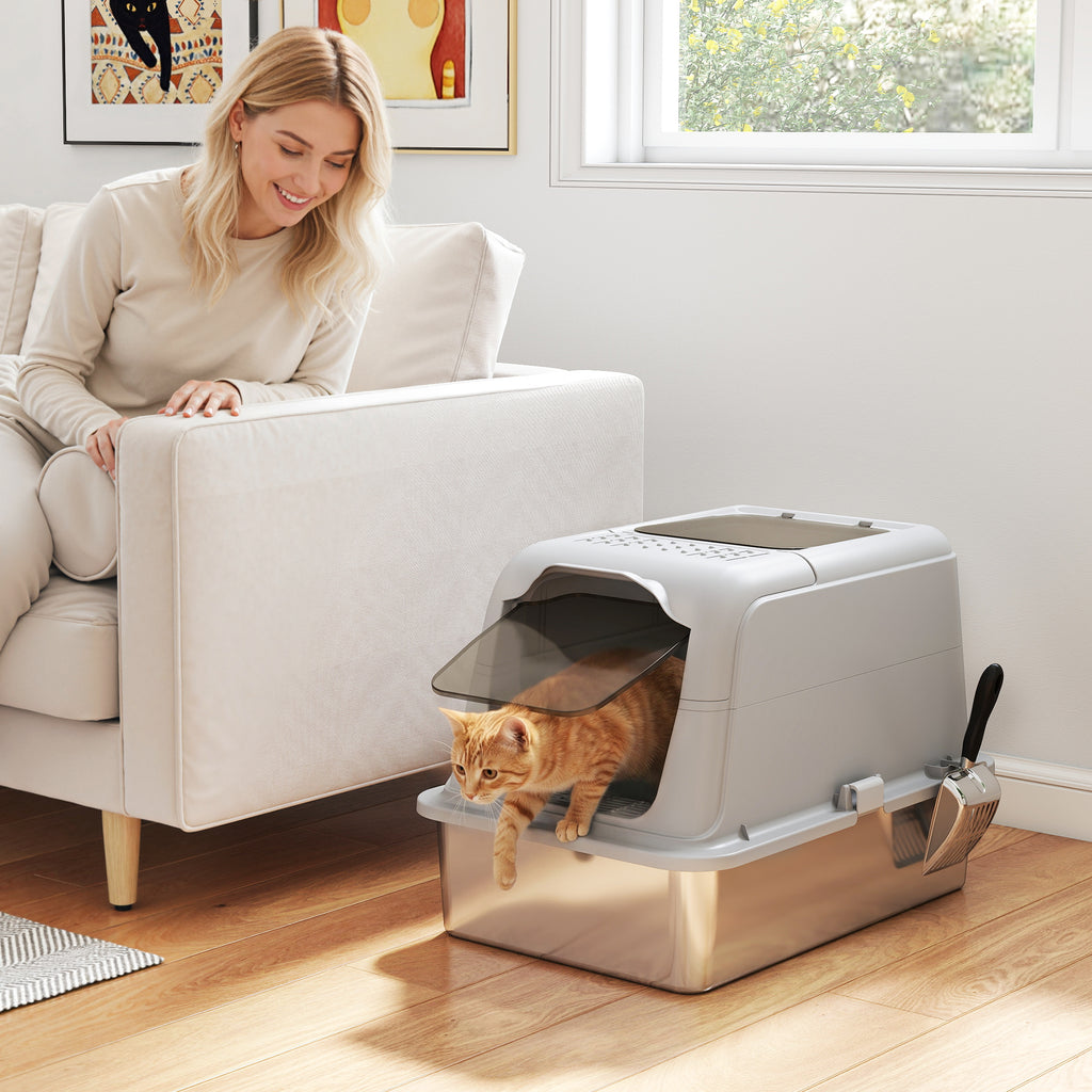 PawHut Enclosed Cat Litter Box with Lid, 2 Inlets, Scoop and Deodorant Bag, Light Grey