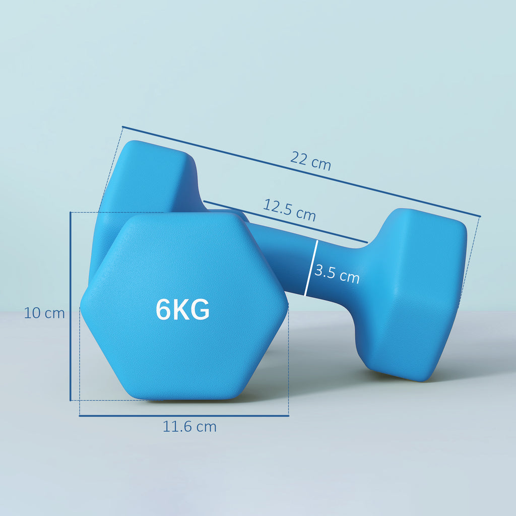SPORTNOW Set of 2 2x6kg Hexagonal Dumbbells in Metal and Plastic with Non-Slip Grip, 22x10x10 cm, Light Blue