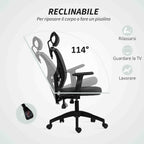 Ergonomic and Adjustable Office Chair with Lumbar Support and Headrest, 66x61x106-116 cm, Grey
