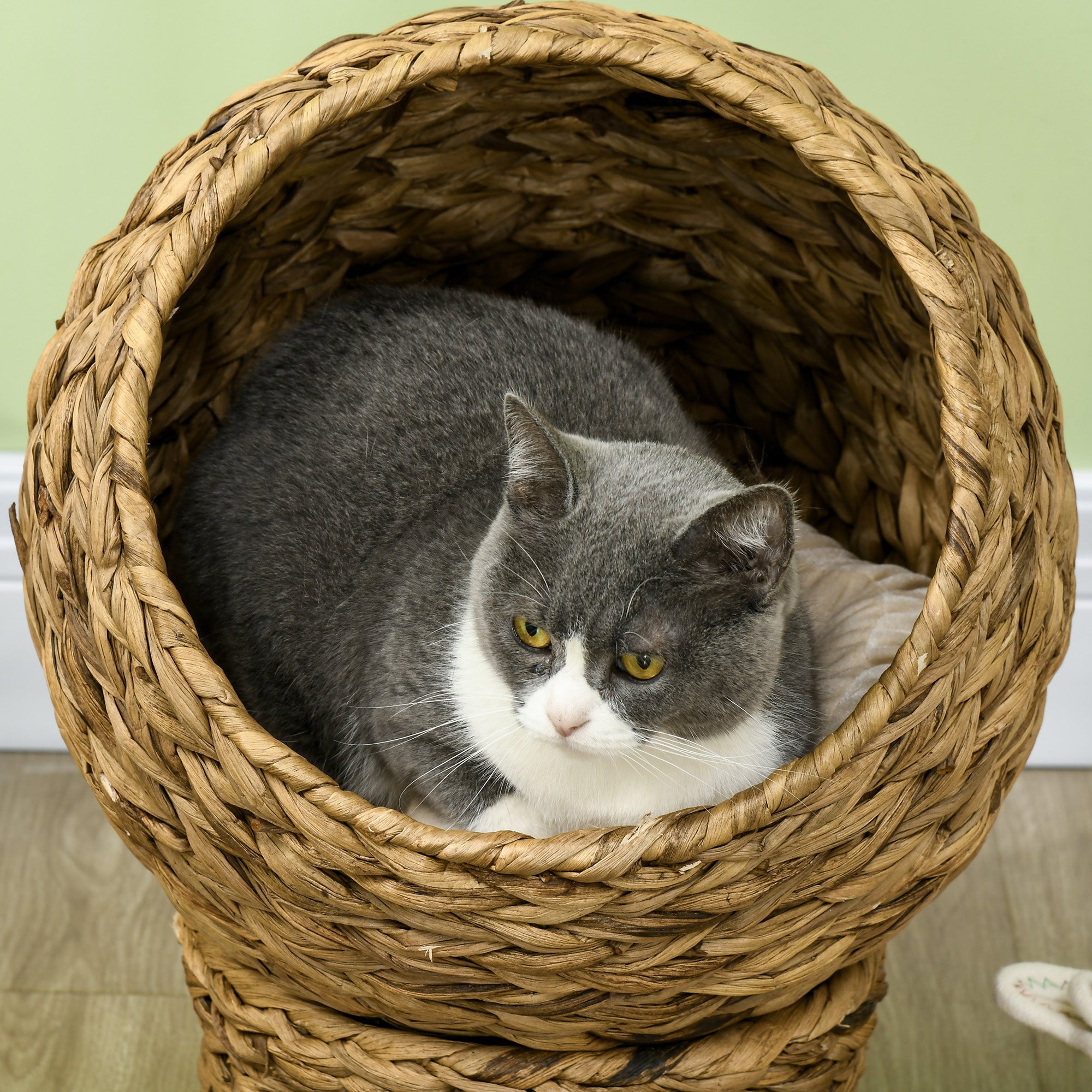 Raised Wicker Cat Bed with Cotton Cushion, Brown and White, 42 x 33 x 52cm