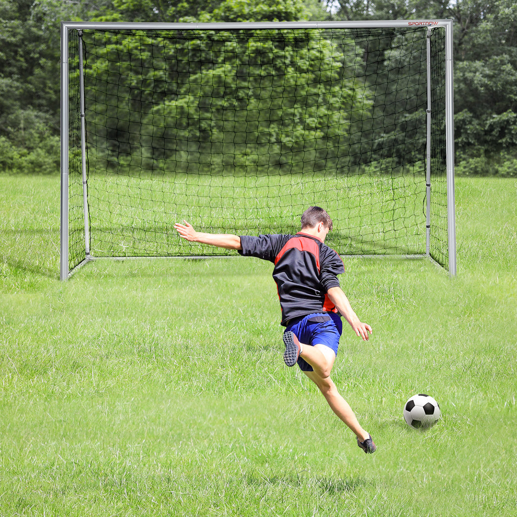 SPORTNOW Grey Football Goal 300x120x200 cm with Screws and Pegs Included, in PE and Metal