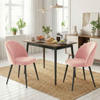 Set of 2 Velvet Shell-Back Dining Chairs, 52 x 55 x 79 cm, Pink