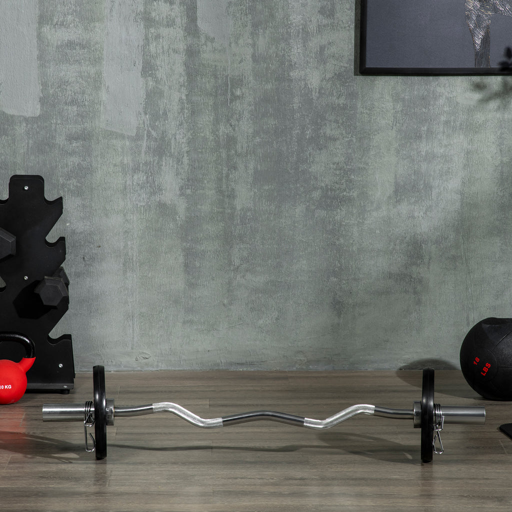 SPORTNOW Set of 2 Steel Weight Plates with Rubber Coating for Barbell