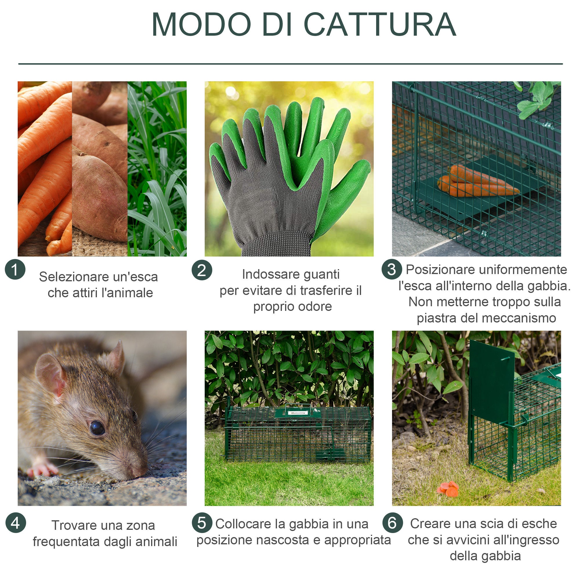 Foldable Steel Trap Cage for Live Animals, 81x26x34.5cm, Silver